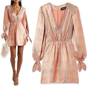 Haney Silk Joplin Dress Size 4